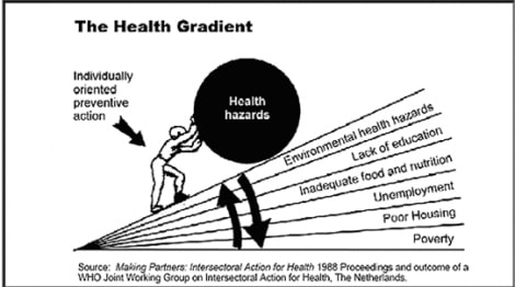 The health gradient